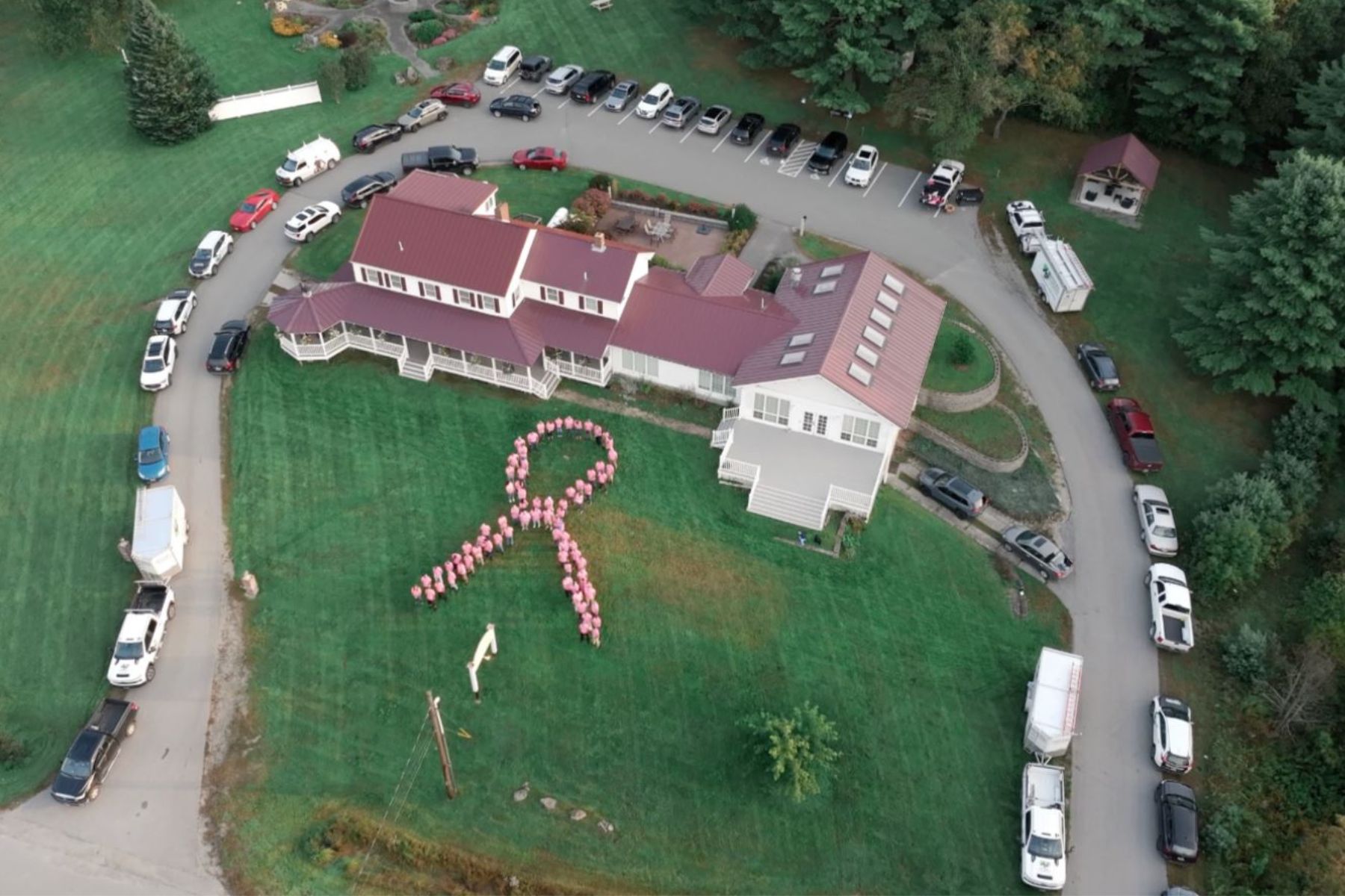Ariel view of RbA employees forming a pink breast cancer ribbon. 